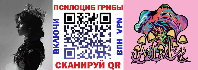 Псилоцибиновые грибы GOLDEN TEACHER  Ахтубинск 